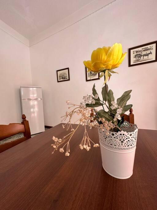 Appartement Passiu House à Palerme Extérieur photo